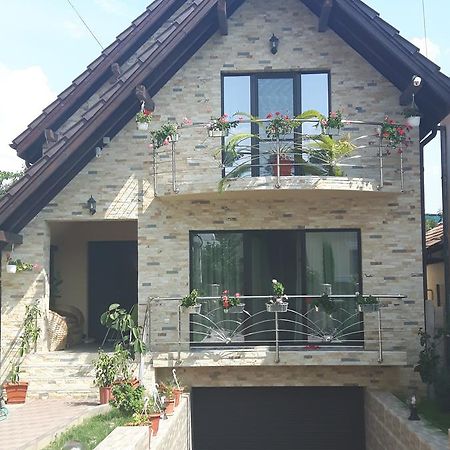 Hotel Vila Alexia Călimăneşti Exterior foto