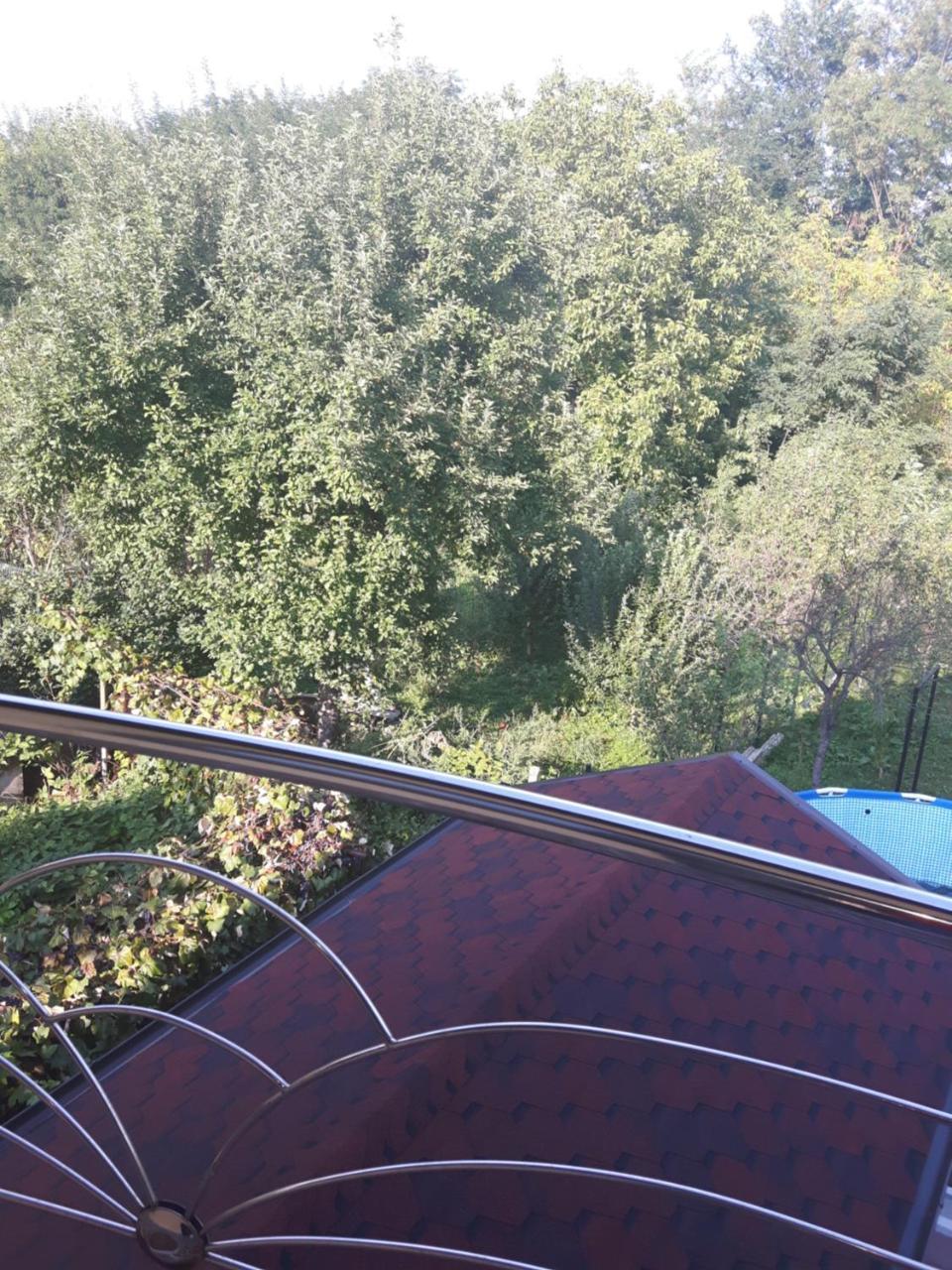 Hotel Vila Alexia Călimăneşti Exterior foto