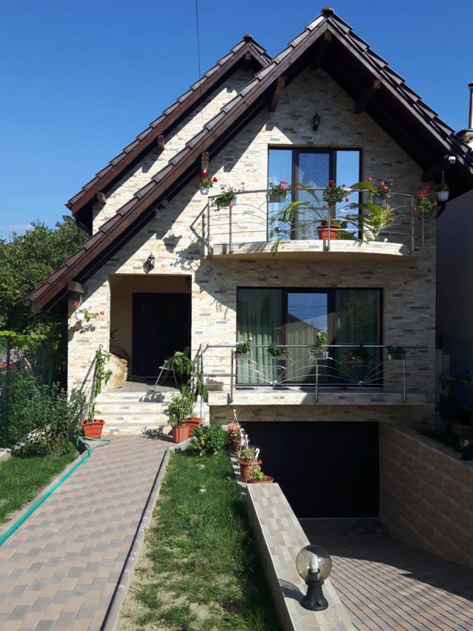 Hotel Vila Alexia Călimăneşti Exterior foto