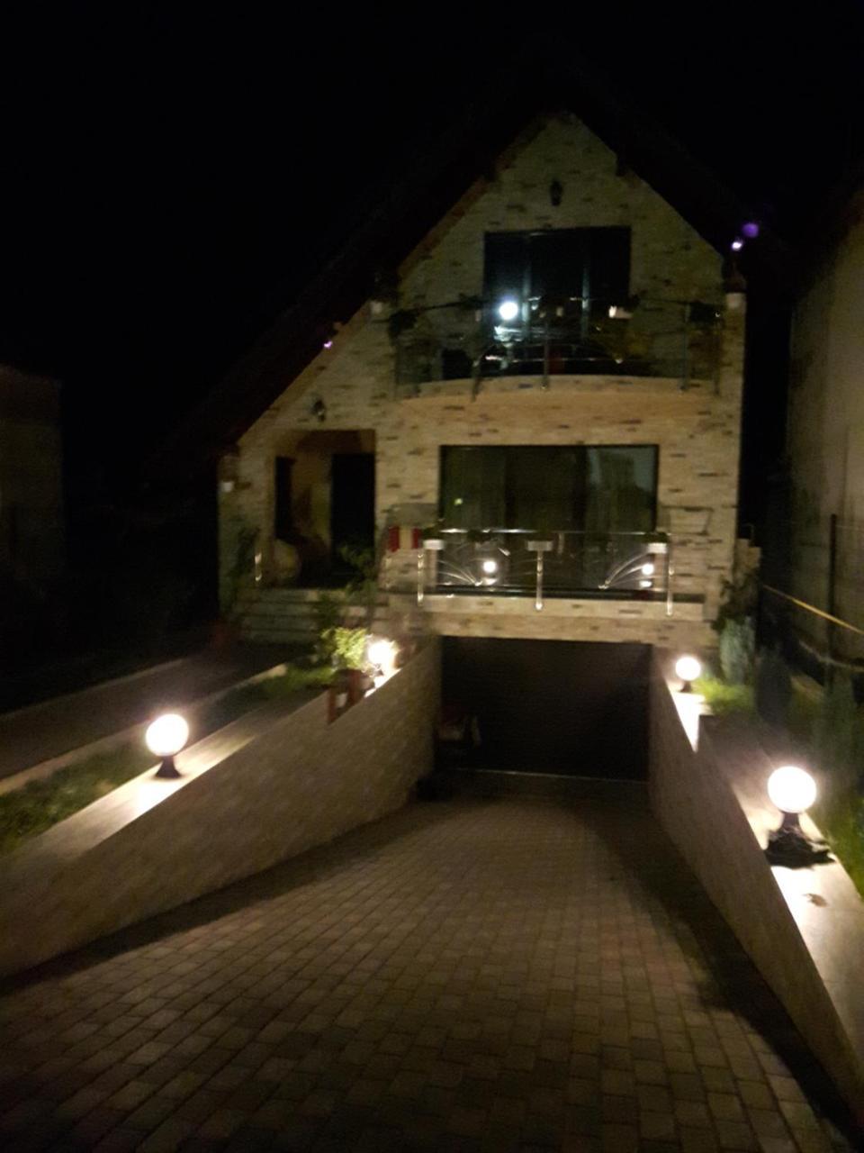 Hotel Vila Alexia Călimăneşti Exterior foto