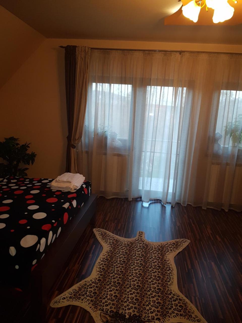 Hotel Vila Alexia Călimăneşti Exterior foto