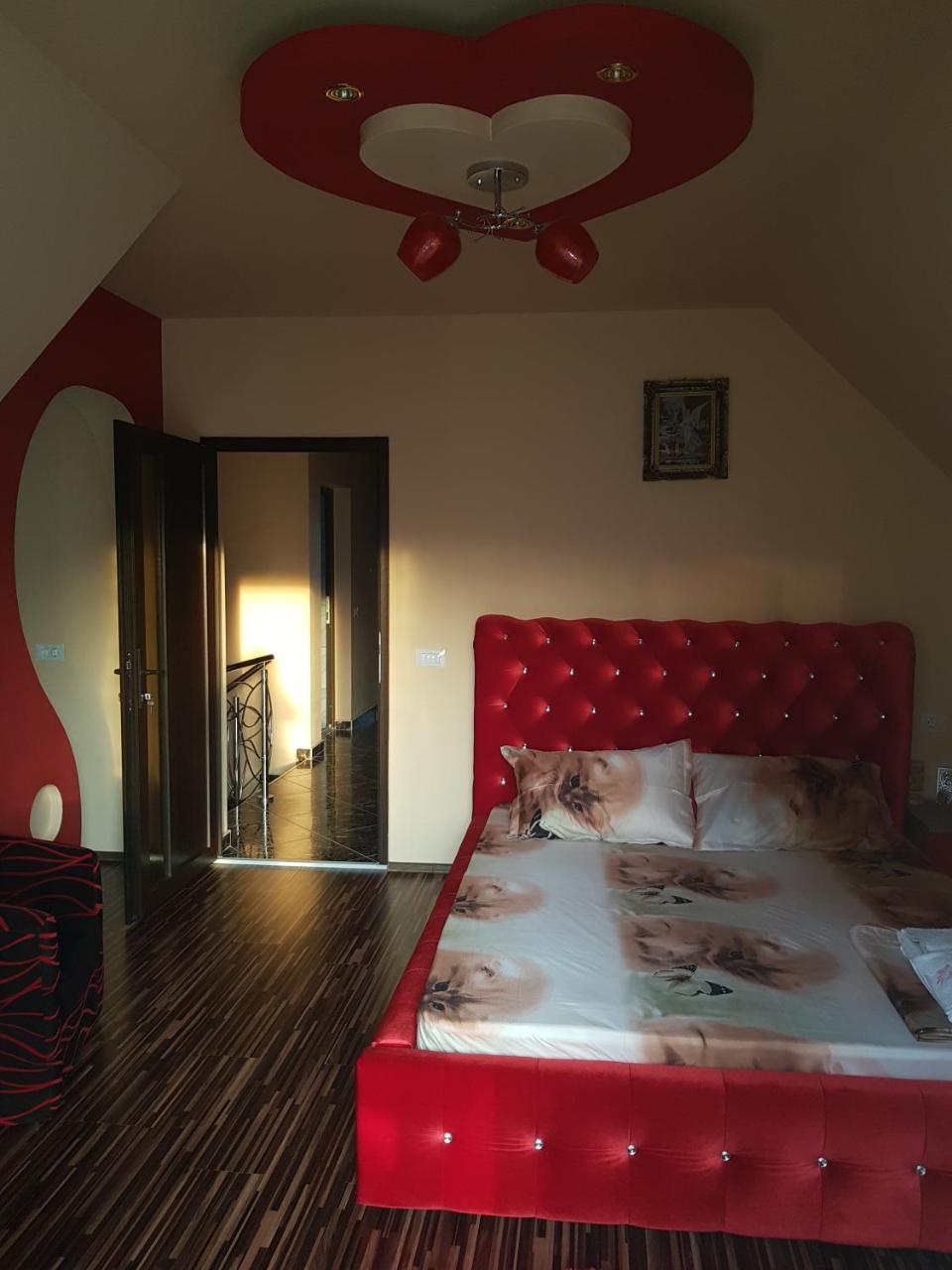 Hotel Vila Alexia Călimăneşti Exterior foto