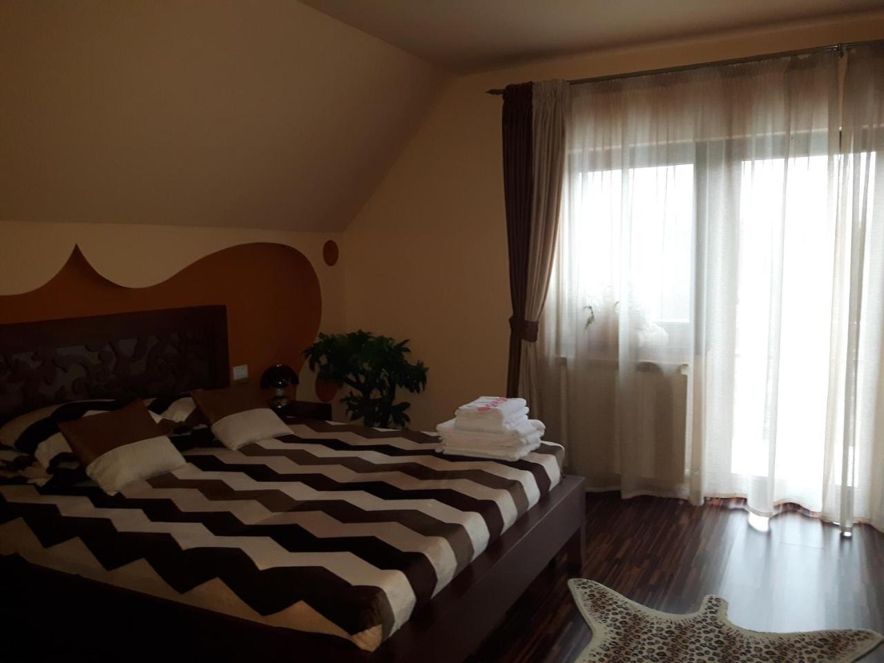 Hotel Vila Alexia Călimăneşti Exterior foto