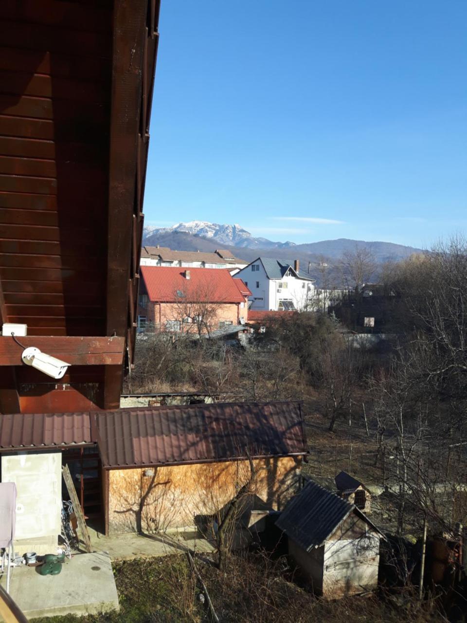 Hotel Vila Alexia Călimăneşti Exterior foto